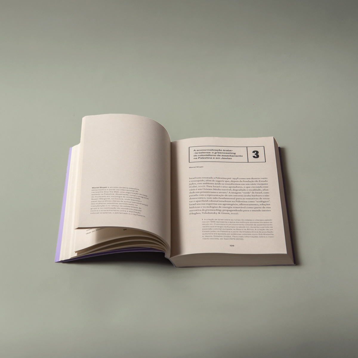 Colonialismo verde - v. 2 - Justiça energética e climática nos países árabes - Imagem 9