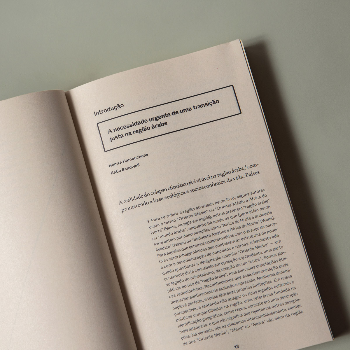 Colonialismo verde - v. 2 - Justiça energética e climática nos países árabes - Imagem 7