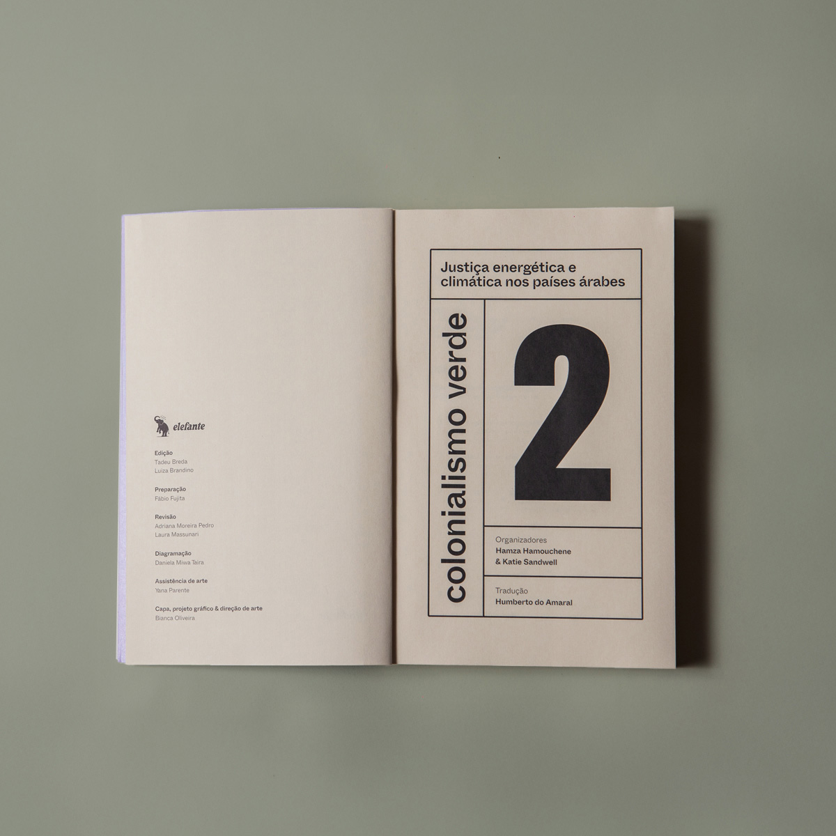 Colonialismo verde - v. 2 - Justiça energética e climática nos países árabes - Imagem 4