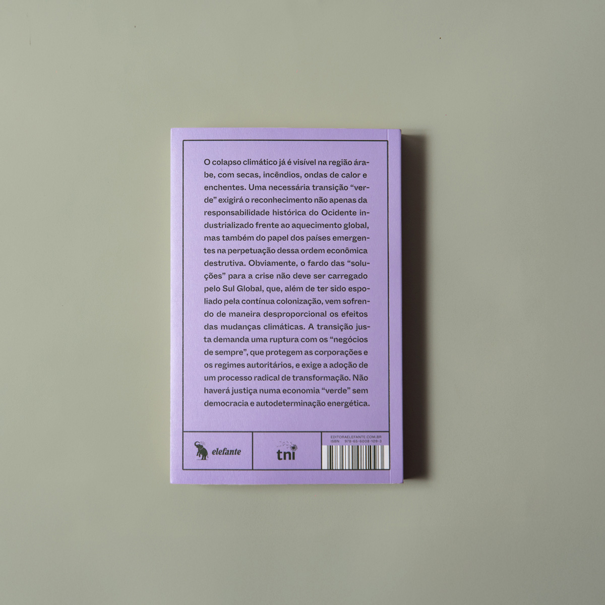 Colonialismo verde - v. 2 - Justiça energética e climática nos países árabes - Imagem 10