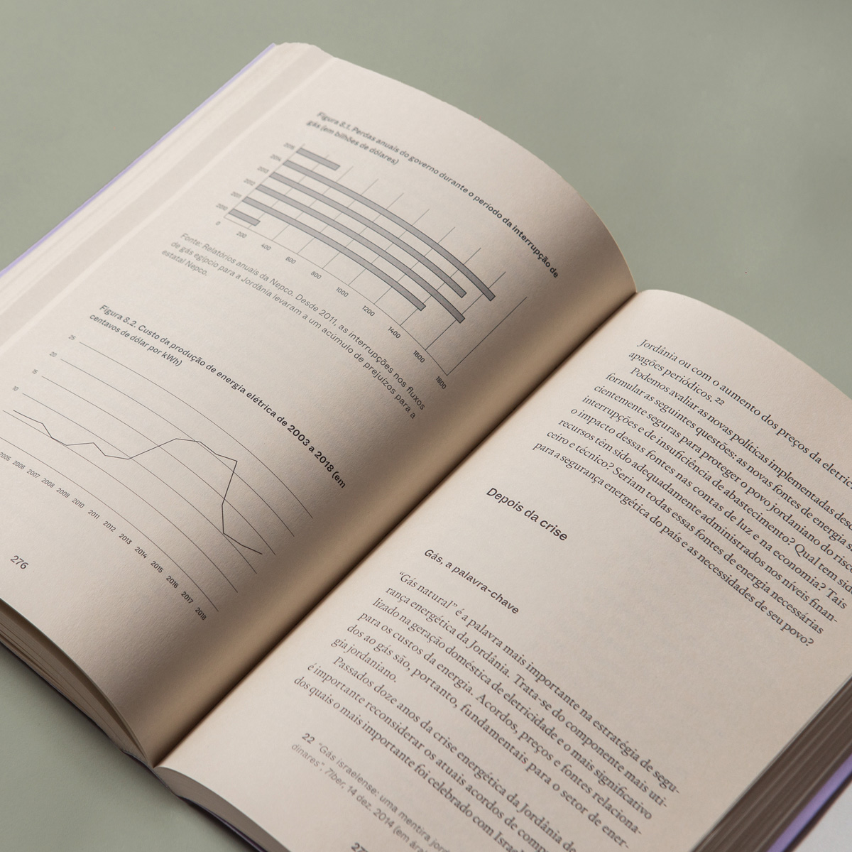Colonialismo verde - v. 2 - Justiça energética e climática nos países árabes - Imagem 8