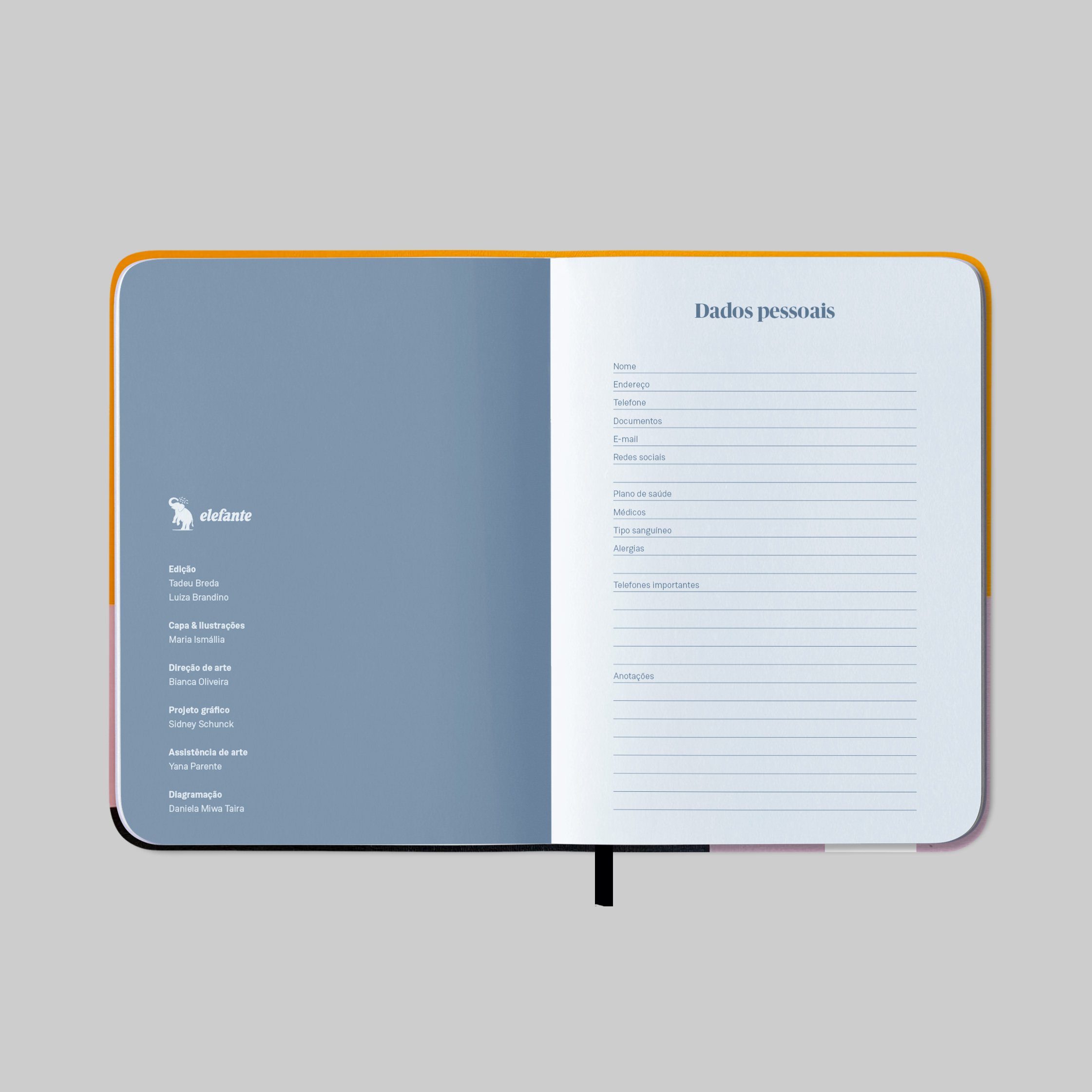 Elefante 2026 - Imagem 5