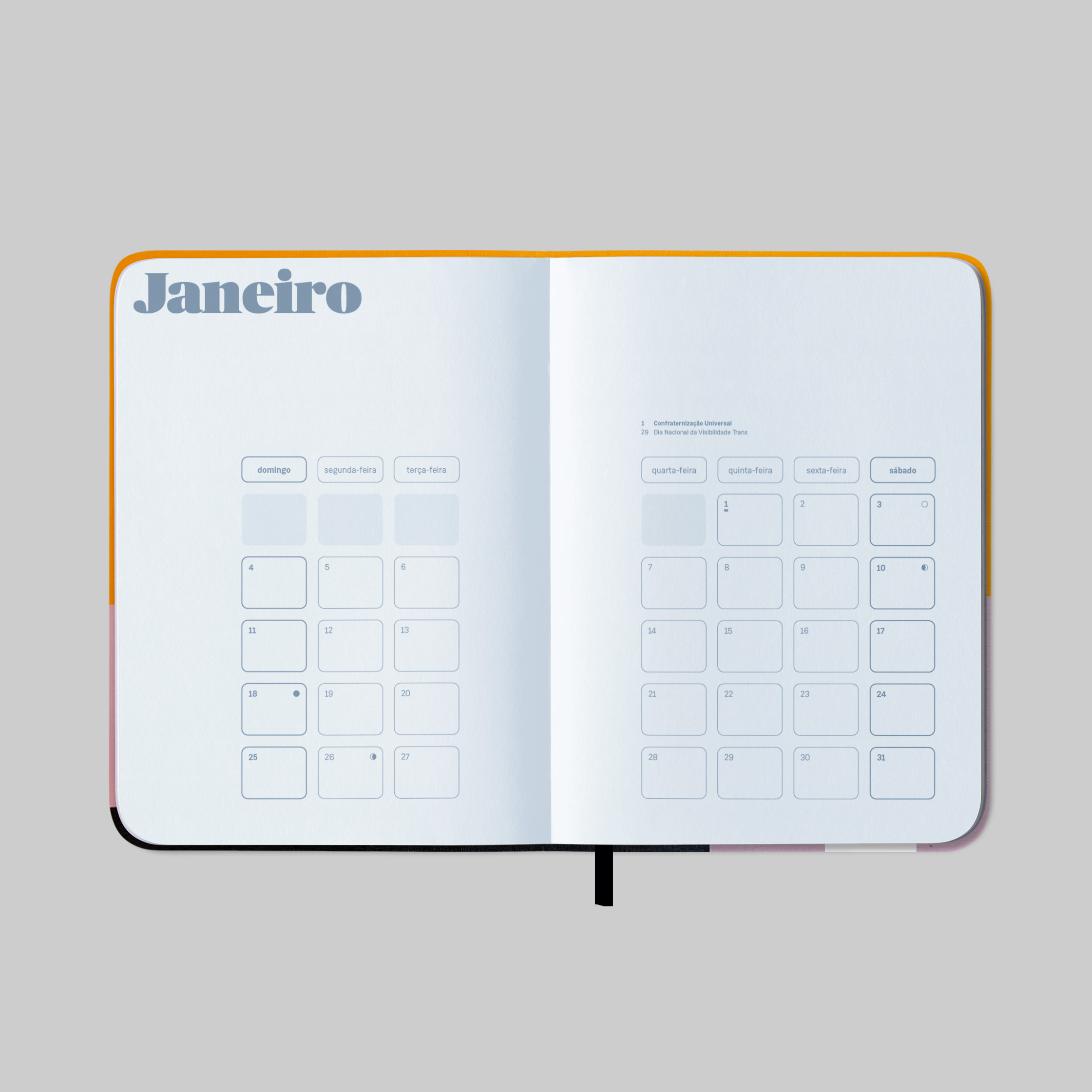 Elefante 2026 - Imagem 6