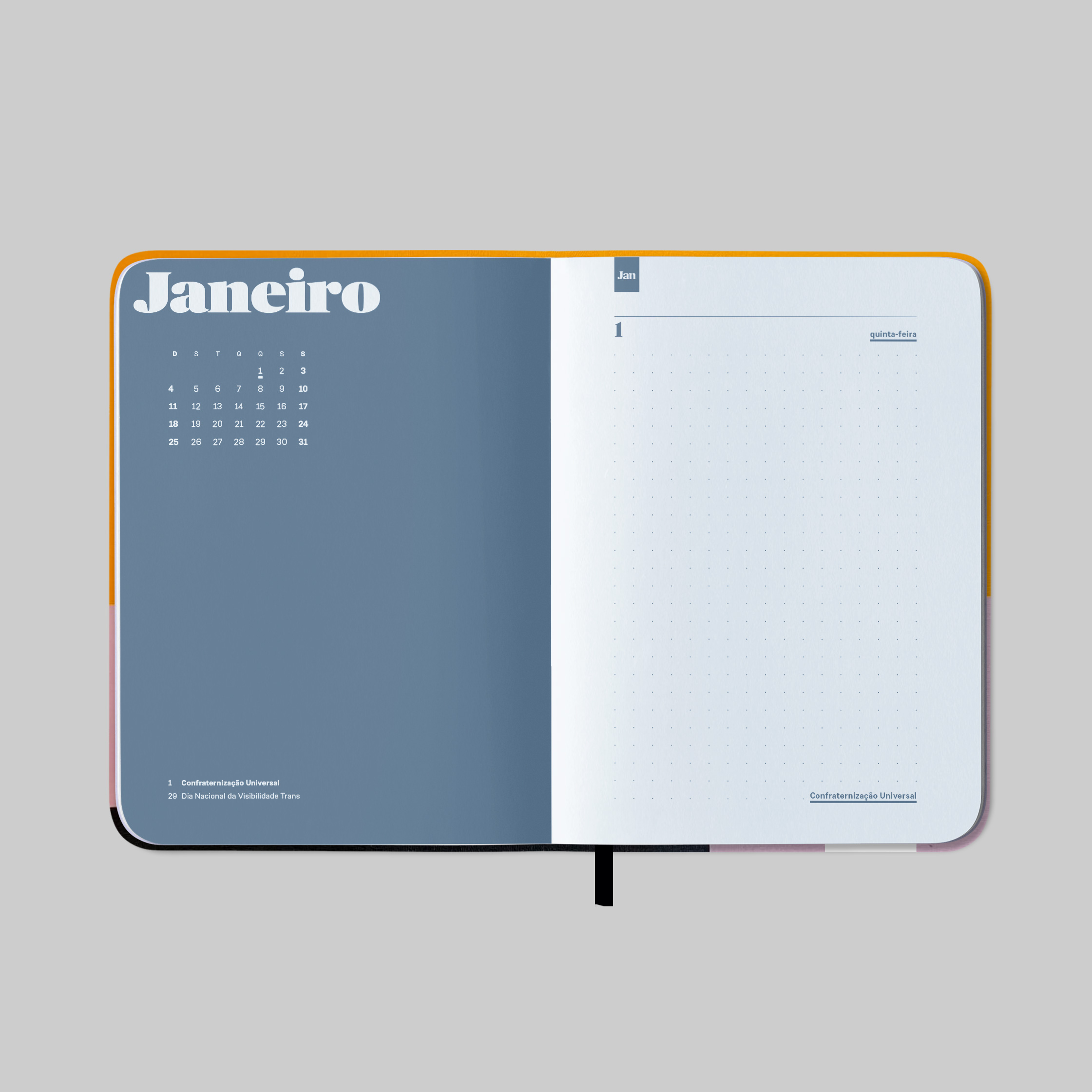 Elefante 2026 - Imagem 8