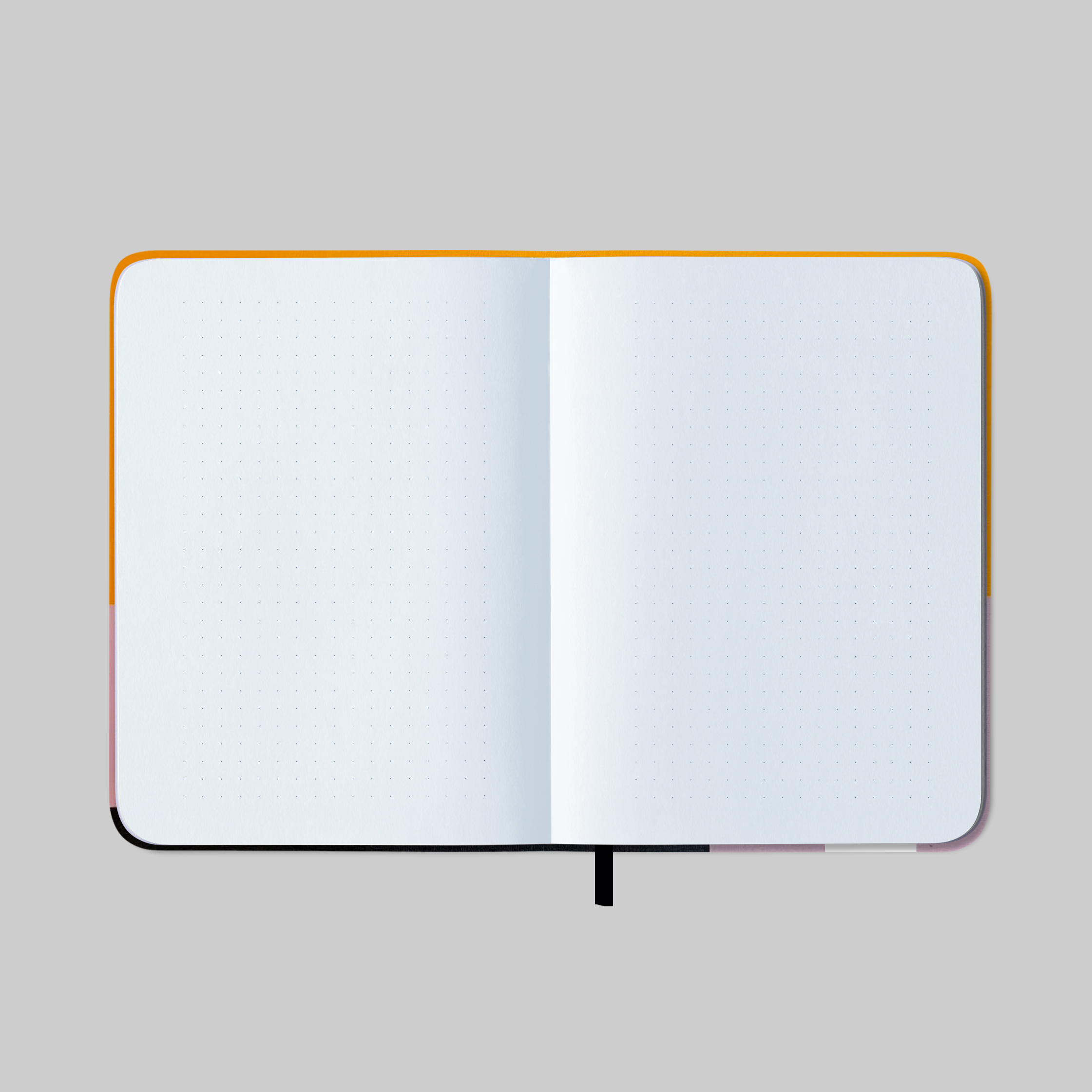 Elefante 2026 - Imagem 11