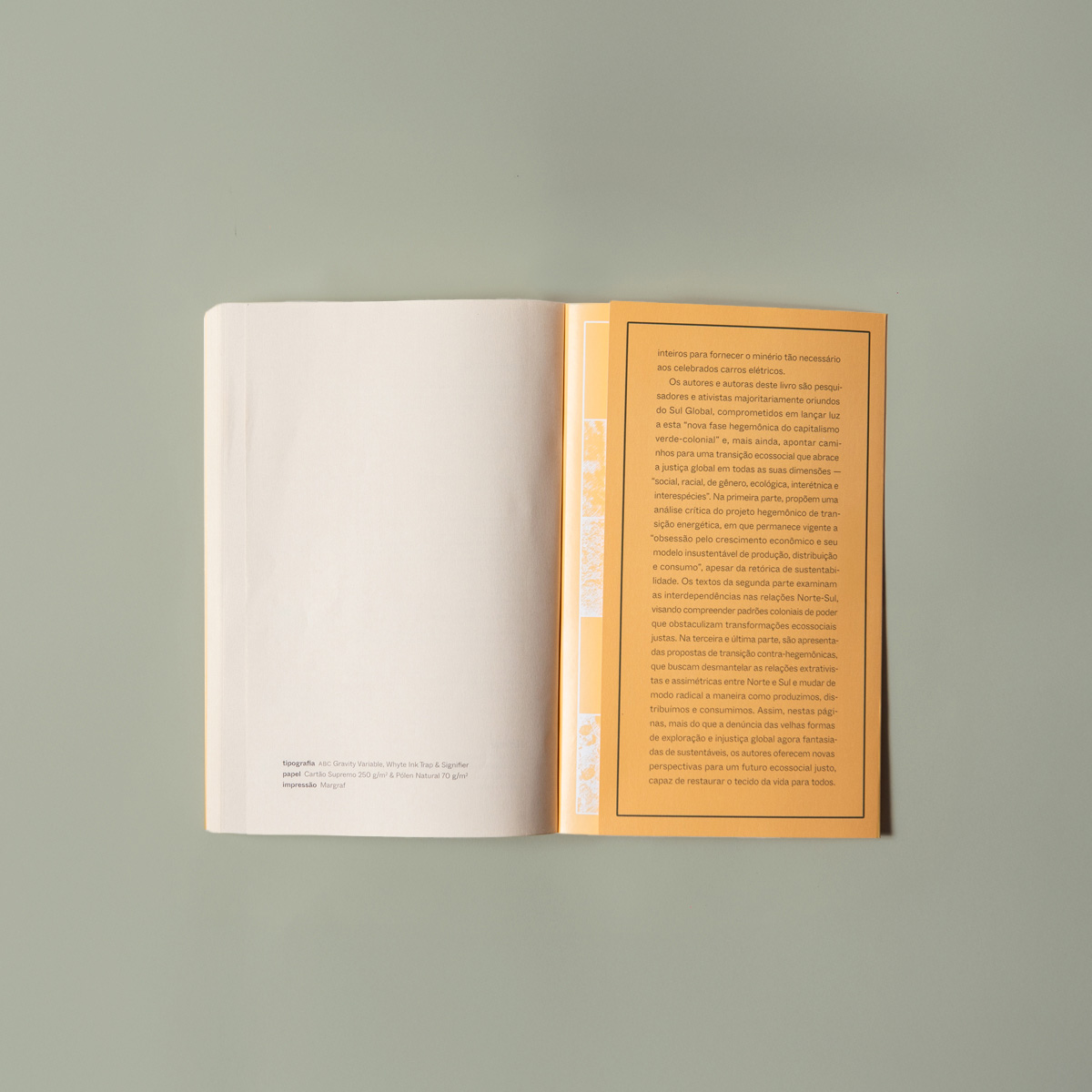 Colonialismo verde - v. 1 - Geopolítica e transições ecossociais - Imagem 9