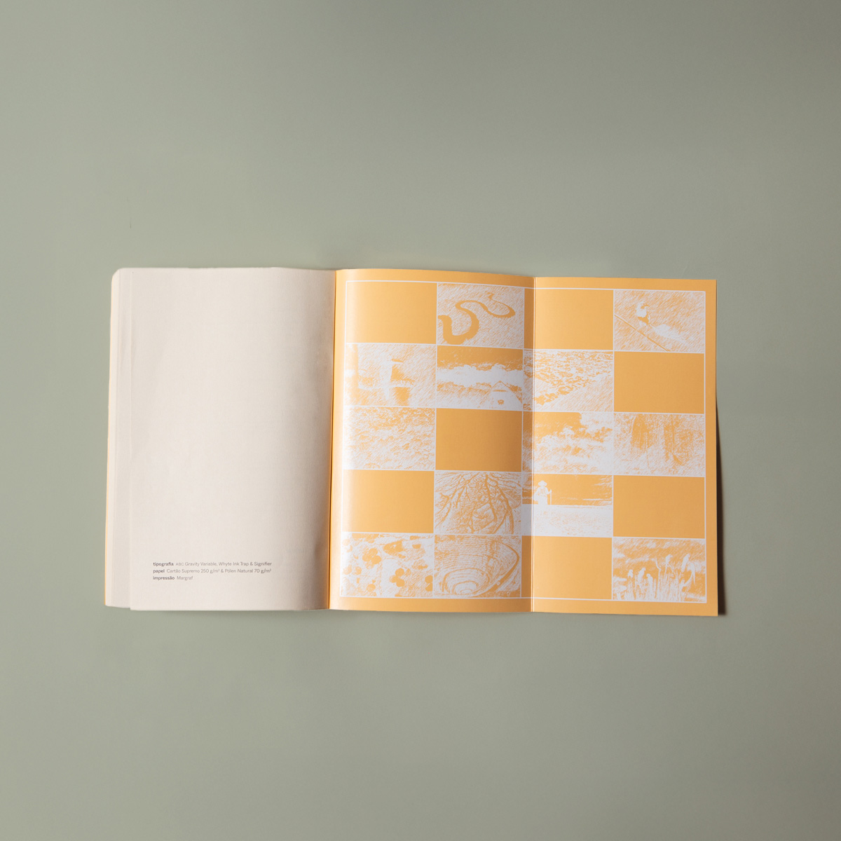 Colonialismo verde - v. 1 - Geopolítica e transições ecossociais - Imagem 10