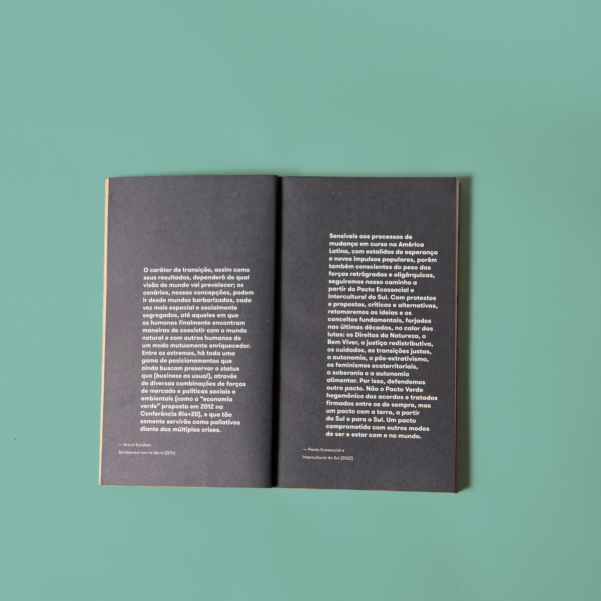 Transição ecossocial justa - Imagem 8