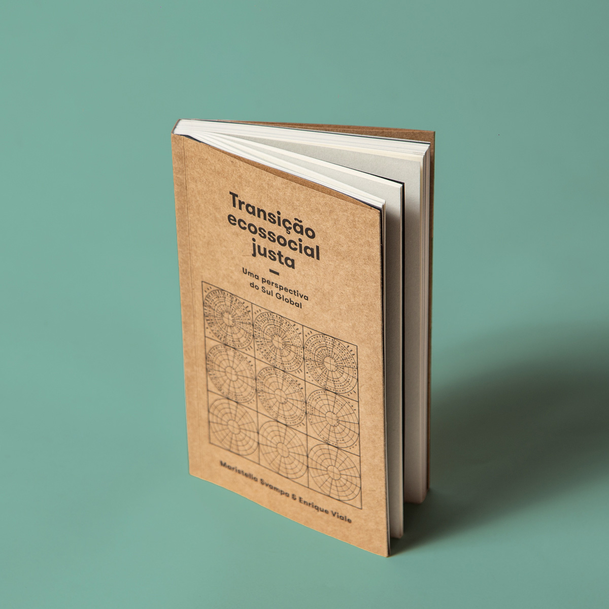 Transição ecossocial justa - Imagem 2