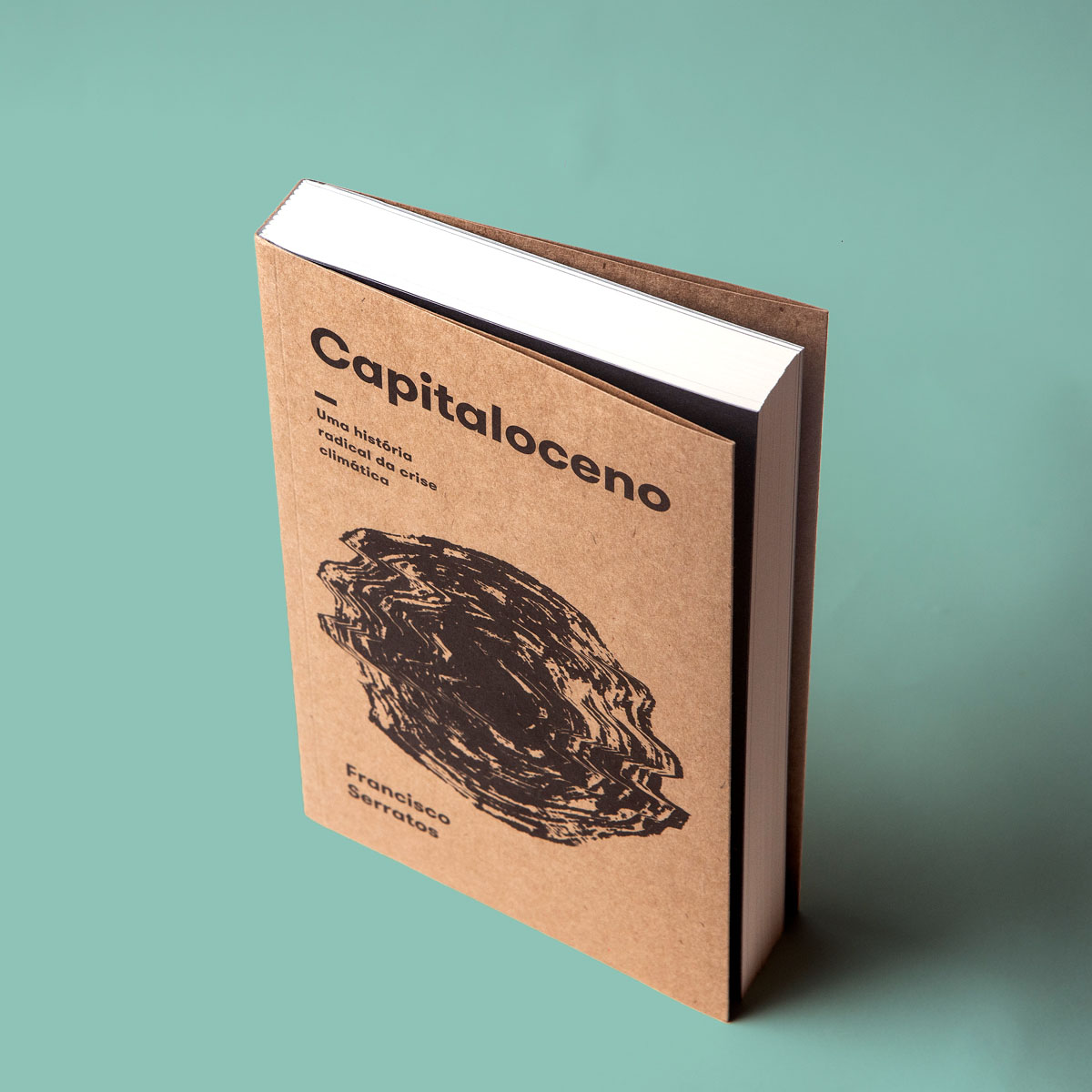 Capitaloceno - Imagem 3